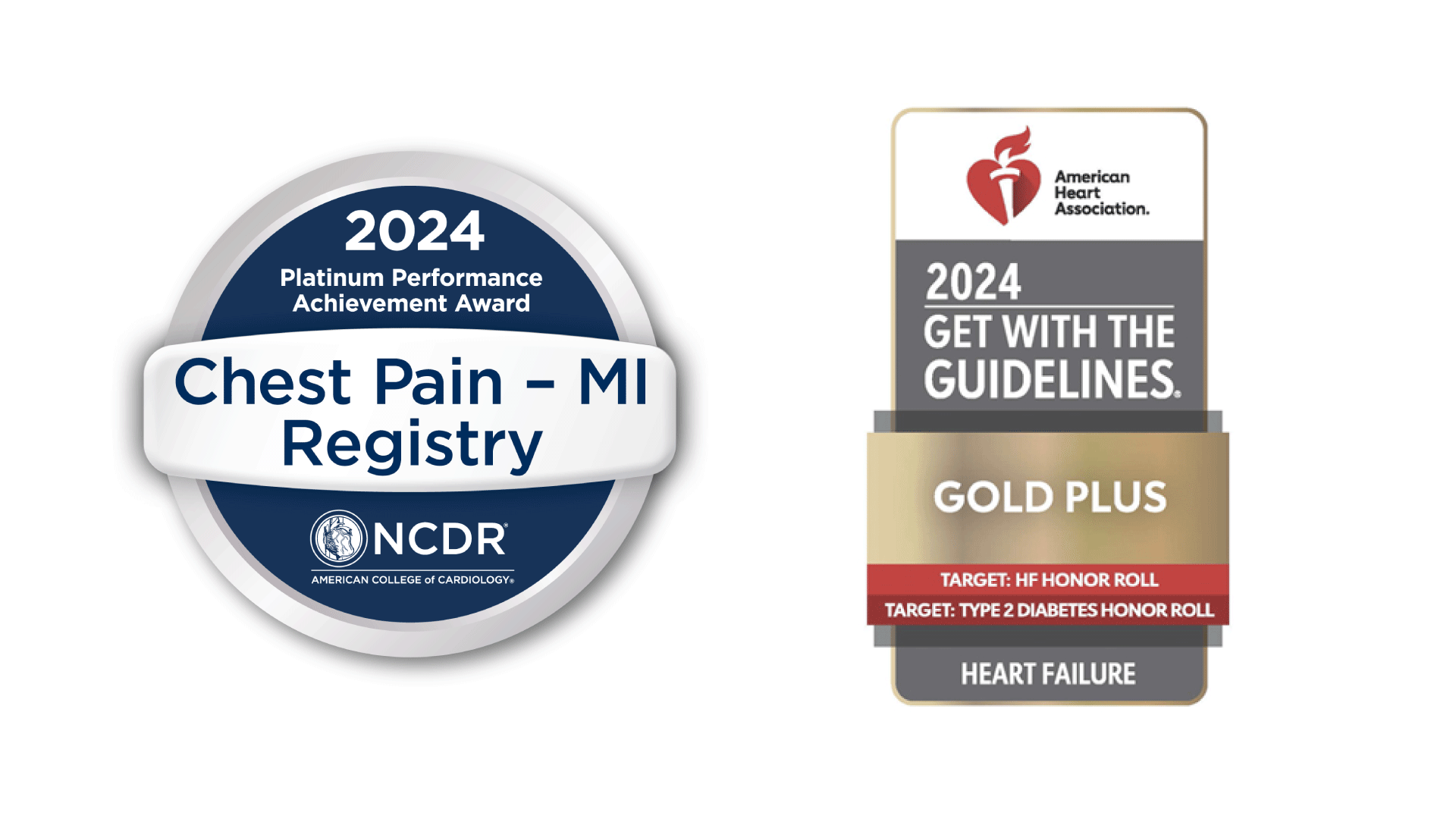 2024 SIH Heart and Vascular Award Designations