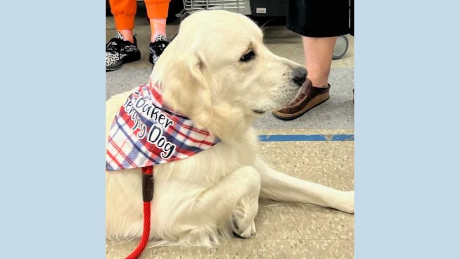 Mr. Baker the Therapy Dog 