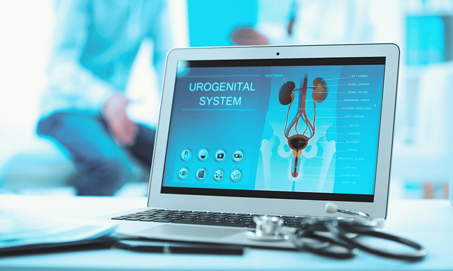 Urology Southern Illinois Healthcare
